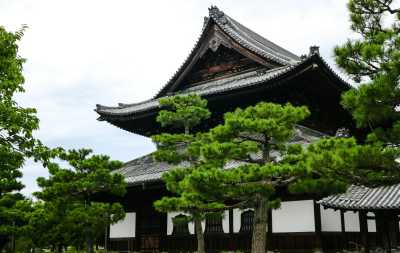 Japan - Taito City - 🍜 The Golden Route Reimagined: 14 Nights Through Osaka, Kyoto, Hikone & Tokyo 🎎 (PRIVATE ROOMS)