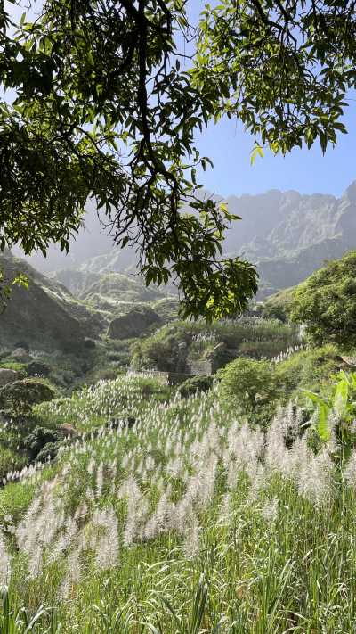 Cabo Verde - Hiking Trail in „Vale do Paúl“ - WANDERREISE: Inselüberquerung Santo Antao & Besteigung des Vulkan Fogo (Kapverden) - 2
