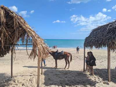 Panama - Playa Blanca - PANAMA - Das Paradies zwischen zwei Ozeanen: Entdecke Panamas unberührte Vielfalt in 10 Tagen 🦥🌴 - 1