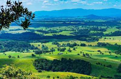 Australia - Atherton - 🌴🪸 Daintree to Great Barrier Reef: A Co-Working Retreat in Port Douglas, Australia 🐠🇦🇺 - 9