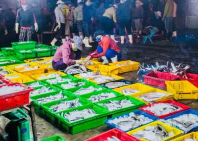 Vietnam - Hoi An Village Tours - The Vietnam Experience (Part II): Off the Beaten Path - A Hoi An Villa Escape Beyond the Lanterns & Tourist Trails 🌾🏮 Sunsets between rice fields & the sea 🌅🌊 #NotAnotherRetreat - 2