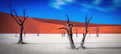 Namibia - Deadvlei - Namibia : Road Trip Safari Adventure