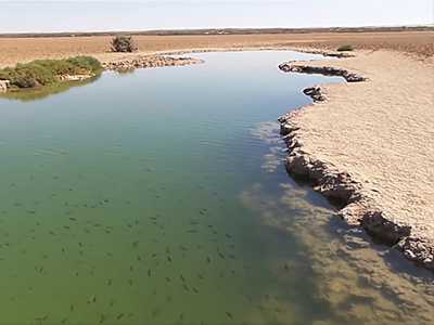  - IMLILI DESERT - Explore Dakhla, the Pearl of Moroccan Sahara, while CoWorking - (private room) - 2