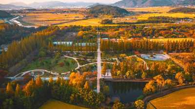 Korea, Süd - Gyeongju-si - 🇰🇷 Korea in Color: An Autumn 🍁 Journey of Palaces ⛩️, Peaks 🏔 & Portraits 📸 - 5