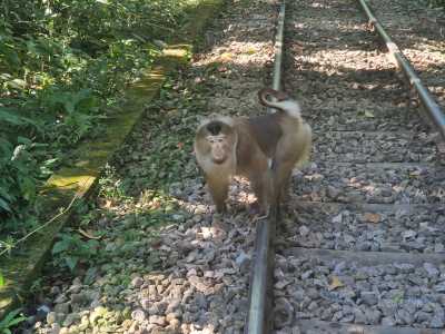 Bangladesch - Sreemangal - Bangladesh Adventure – Between Rivers, Tea Hills & Ancient Cities - 4