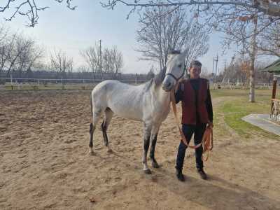 Turkmenistan - Ashgabat - Into the Heart of Turkmenistan: Fire Craters, Marble Cities & the Ancient Silk Road - 2