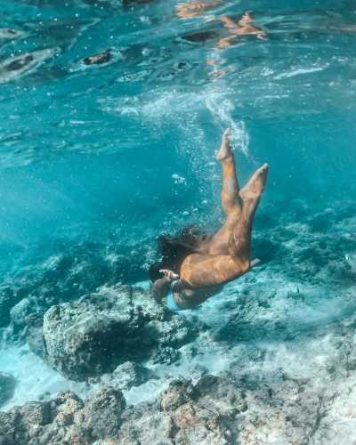 Australia - Great Barrier Reef - 🐊🪸 Ancient Daintree meets The Great Barrier Reef: A Week in Port Douglas, Australia 🐢🇦🇺 - 2