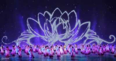 Vietnam - Charming Danang Show - 🇻🇳 The Vietnam Experience: From Da Nang’s Coast to Hoi An’s Lantern Streets - Villa Life between Shared stories, Good Company and the Sea 🏖️🌾🏮 #NotAnotherRetreat - 2