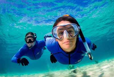 Australien - Great Barrier Reef - 🌴🪸 Daintree to Great Barrier Reef: A Co-Working Retreat in Port Douglas, Australia 🐠🇦🇺 - 9