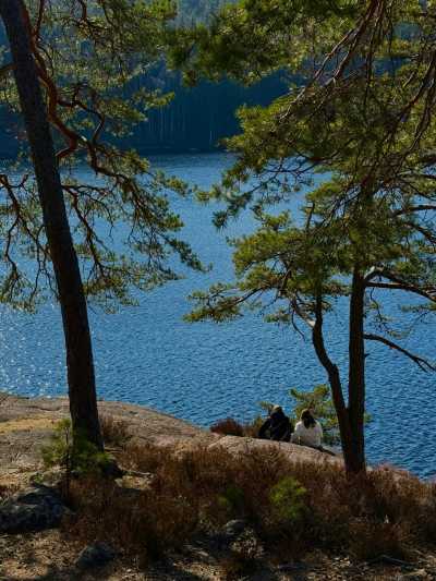 Sweden - Hovfjället AB - Swedish Summer Adventure with my huskies 🐾🇸🇪 | Hikes, Lakes & Waterfalls in Wild Värmland - 3