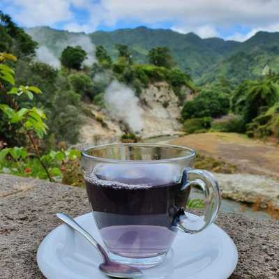 Portugal - Parque Terra Nostra - Azores Adventures: Uncover São Miguel’s Secrets with a Portuguese Guide! 🌋🌊 - 4