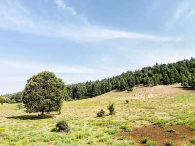 Morocco - Azrou - NYE's trip to Middle Atlas Mountains Morocco - AZROU - 2