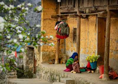 Vietnam - Bảo Lạc District - 🇻🇳 Ride the Northern Vietnam dream – mountain passes, rice terraces & hidden waterfalls: Ha Giang Loop & Ban Gioc Waterfall motorbike tour 🏞🏍 - 1