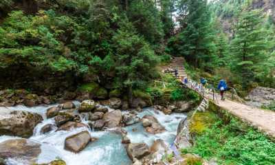 Nepal - Everest Base Camp - 🏔️ Nepal: Hike to Everest Base camp! Himalayan Views & rural village interactions - the challenge of a lifetime! - 9