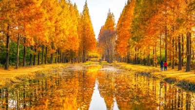 Korea, Süd - Gyeongju-si - 🇰🇷 Korea in Color: An Autumn 🍁 Journey of Palaces ⛩️, Peaks 🏔 & Portraits 📸 - 1
