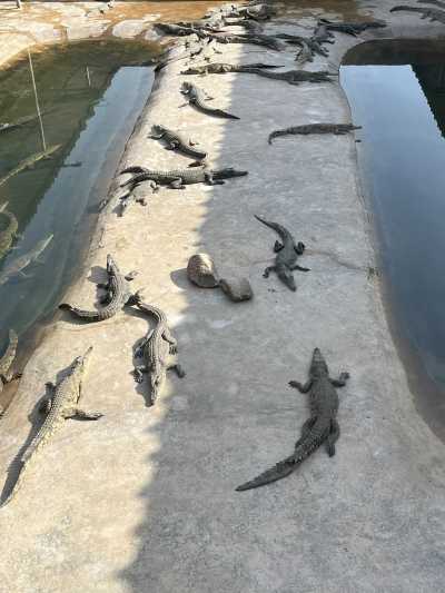 Äthiopien - Arba Minch - Explore Ethiopia -  Group Trip to Omo Valley for Culture and Tribes Discovery!