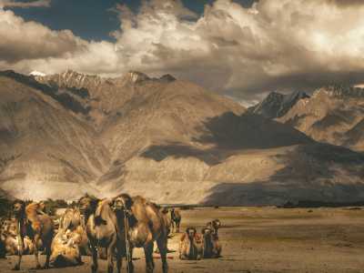 India - Nubra Valley - Mystical Ladakh - A Yoga and Meditation Retreat Exploring India's Himalayas - 1