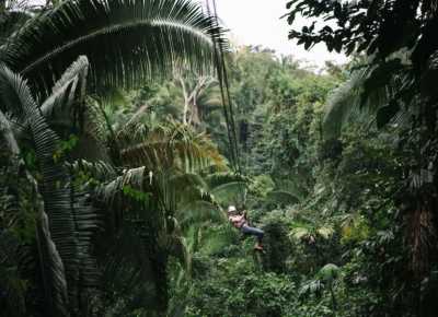 Belize - Hopkins - Belize: Rainforest, Roots & Rhythm - 3