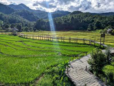 Thailand - Pai Walking Street - 🇹🇭 Thailand entdecken (Teil 2) - Nordthailand: Kultur, Party & Natur in Chiang Mai, Pai & Sukhothai 🍻🏯🌿🐘 - 4