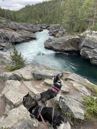 Norway - Jotunheimen nasjonalpark - Best of Norway with my huskies 🐾⛰️ | Jotunheimen, Fjords & Valleys | Hiking trip - 2