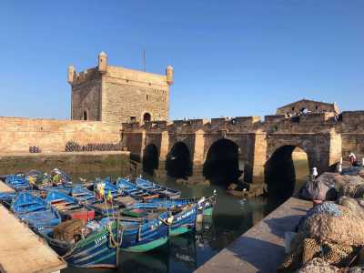 Morocco - Essaouira port - 🇲🇦 An Introduction to Morocco: Six Nights From the Tranquil Riads of Marrakech to Essaouira's Salt-Kissed Air (PRIVATE ROOMS) 🍵 - 1
