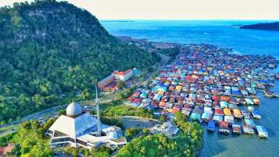 Malaysia - Sandakan - Borneo Safari: A Quest for the Orangutan - 1