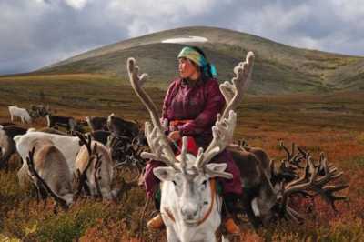 Mongolia - Murun - Mongolia Winter expedition: Meet the reindeer herders of the Taiga and visit the frozen Khuvsgul lake - 3