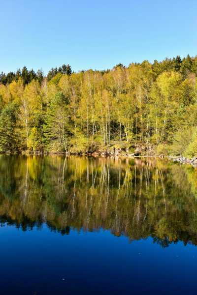 Germany - Bad Griesbach im Schwarzwald - Best of the Black Forest, Germany with my huskies 🇩🇪🐾 | Hiking | Outdoors | Historic towns - 1