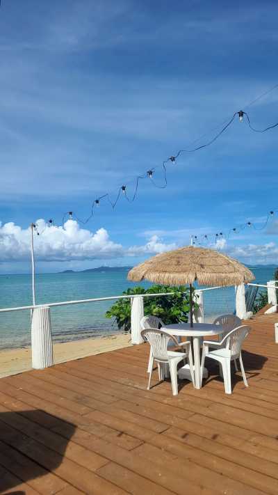 Japan - Kohama Island - Let's Gather in Ishigaki Island Paradise 🌴 | Beaches, Sea Turtles, Yoga & Island Hopping