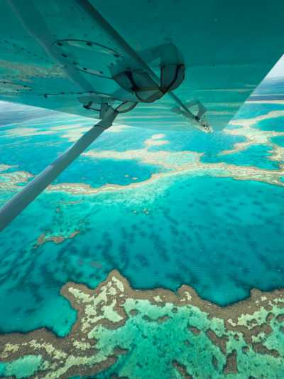 Australia - Great Barrier Reef - 🐊🪸 Ancient Daintree meets The Great Barrier Reef: A Week in Port Douglas, Australia 🐢🇦🇺 - 2