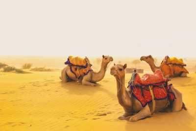 India - Jaisalmer - Photographic & Yoga Soul Journey. Sacred Rajasthan for Women - 1