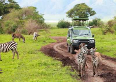 Uganda - ViaVia Entebbe - Uganda: Self drive 4x4 Land Cruiser 🦍🌿Gorilla & Rhino tracking! Coffee, Waterfalls & Hikes 🇺🇬 - 1