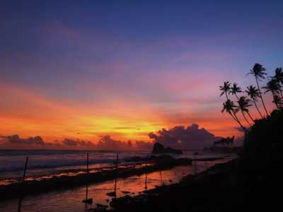 Sri Lanka - Colombo - 🌿 SRI LANKA EASTER 2026: A 360° JOURNEY 🐆 - 3