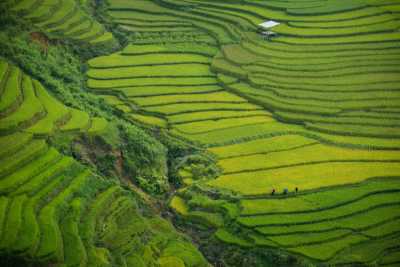 Vietnam - Sa Pa - Vietnam Beyond the Surface: Gastronomic Experiences, Rice Terraces, Egg Coffee, Crafts & Local Connections - 5