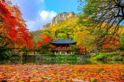 Korea, Süd - Naejangsan National Park - 🌊 🍂 Busan Reset: Where Fall Foliage Meets Coastal Sunsets 🌇 🇰🇷 - 1