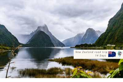 Neuseeland - Milford Sound / Piopiotahi - 🇳🇿🗺 Entdecke die Geheimnisse Neuseelands 🗺🇳🇿 - 5