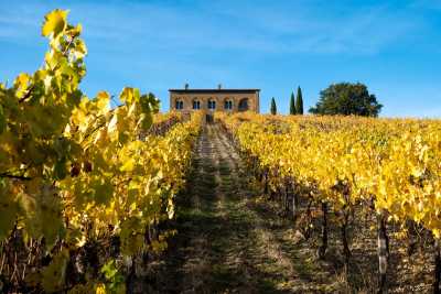 Italy - 🇮🇹Italy’s Green Heart💚, Slowly Savoured🍝🍷VII EDITION - ✨Luxury Stay🌿Wild Nature🏰Medieval Towns📍Traditions🤤Unique Flavors | Local Italian Coordinator +23 Group Trips hosted! - JoinMyTrip