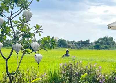 Vietnam - Hội An - The Vietnam Experience (Part II): Off the Beaten Path - A Hoi An Villa Escape Beyond the Lanterns & Tourist Trails 🌾🏮 Sunsets between rice fields & the sea 🌅🌊 #NotAnotherRetreat - 8