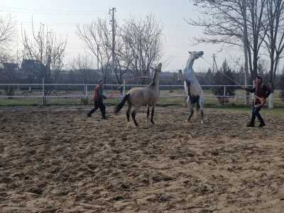 Turkmenistan - Ashgabat - Into the Heart of Turkmenistan: Fire Craters, Marble Cities & the Ancient Silk Road - 4