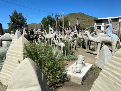 South Africa - Ganora Guestfarm, Camping & Excursions - Entdecke Südafrika: Die Kapregion - jenseits der touristischen Trampelpfade - 2