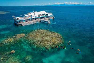 Australien - Green Island - 🌴🪸 Daintree to Great Barrier Reef: A Co-Working Retreat in Port Douglas, Australia 🐠🇦🇺 - 3