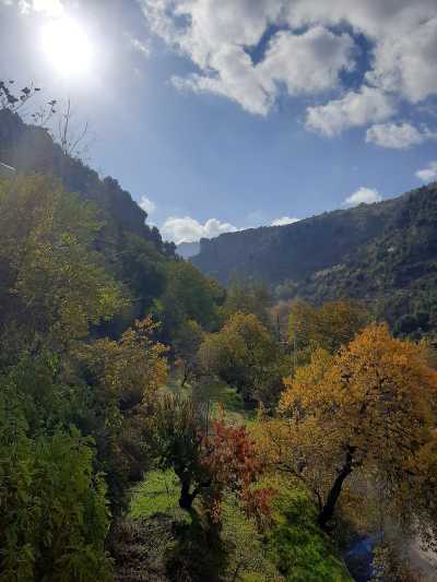 Libanon - Tannourine Cedar Reserve - Lebanon - 3 Days Mountain retreat: Hikes and more! - 2
