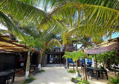 Mexico - Mahahual - Indiana Jones Snake cave in Yucatan, Mexico & Many More - 4