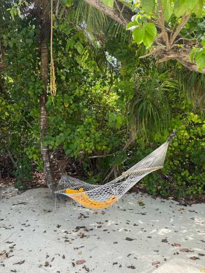 Maldives - Fehendhoo - True Maldives: Local Living • Stunning Beaches • Turquoise Dreams - 2