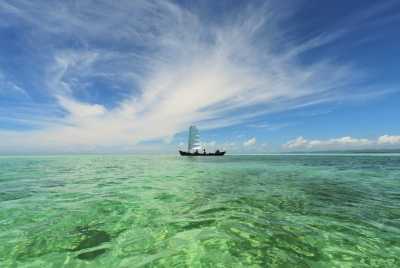 Japan - Taketomi Island - Let's Gather in Ishigaki Island Paradise 🌴 | Beaches, Sea Turtles, Yoga & Island Hopping - 1