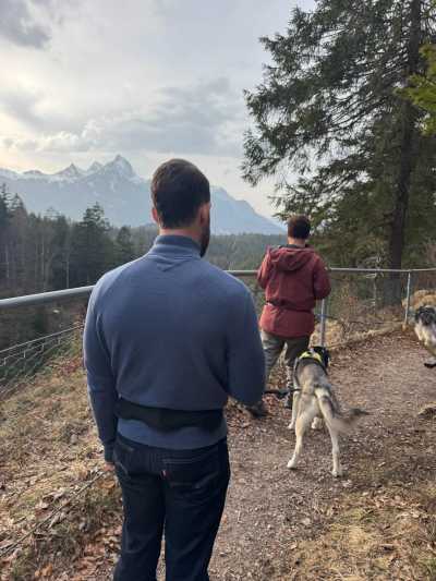 Austria - Bichlbach - Snow Trip to Austria with My Huskies 🐾❄️ Winter Hikes | Skiing | Tobogganing - 3