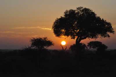 South Africa - Arniston - Südafrika: das atemberaubende Kap trifft auf das Biospähren-Reservat Blyde - Krüger - 1
