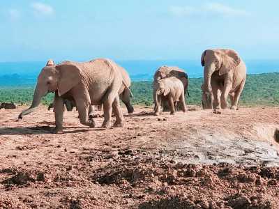 Südafrika - Natures Valley - 🌞Ultimate 10-Day South Africa Road Trip🇿🇦Cape Town & The Garden Route – 🌊Adventure, Nature & Epic Vibes! - 8