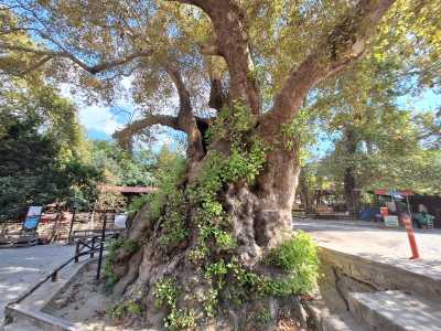 Turkey - Samandağ - Turkey Roadtrip - Anatolia Ancient Lands - 4
