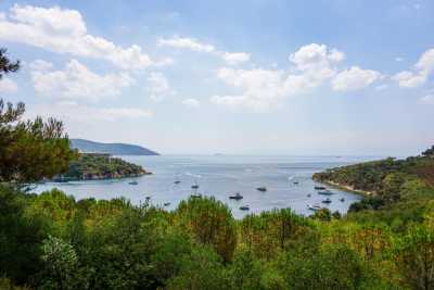Turkey - Büyükada - 7 Day Istanbul Premium Culture & Experience Tour - 1